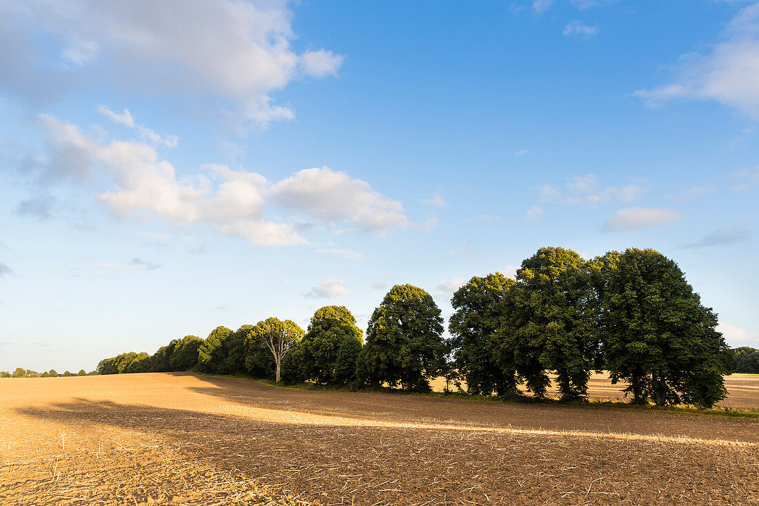 landscape, harvested fields near Klein Thurow, Biosphere Reserve Schaalsee, Mecklenburg lake district, Klein Thurow, Mecklenburg-West Pomerania, Germany, Europe