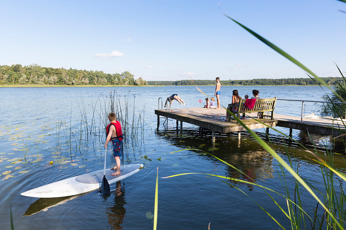 Swimming, diving into water, family, stand up paddling, SUP, playing in the water, holiday, summer, swimming, sport, lake Neuklostersee, Mecklenburg lakes, Mecklenburg lake district, Neukloster, Mecklenburg-West Pomerania, Germany, Europe