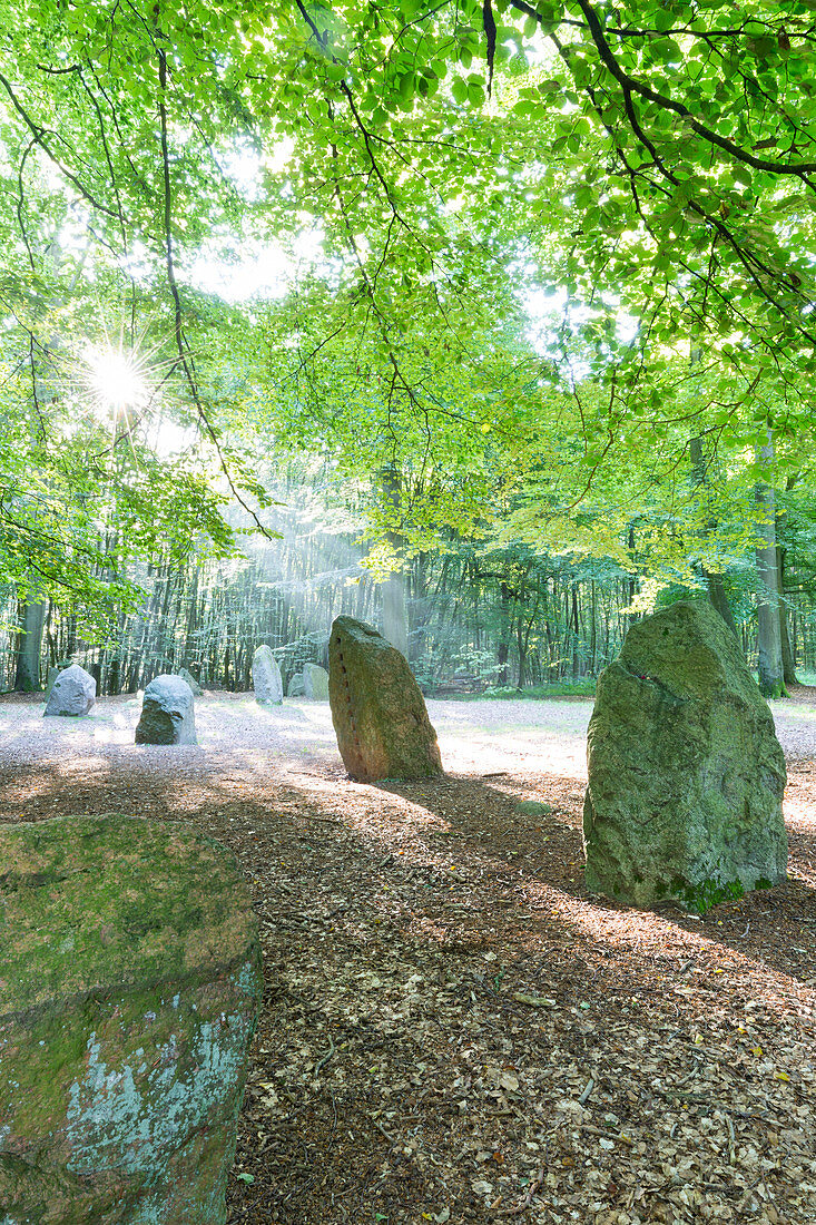 Prehistoric place of worship and funeral, Boitiner Steintanz, Stone Dance of Boitin, Mecklenburg lakes, Sternberg, Mecklenburg-West Pomerania, Germany, Europe