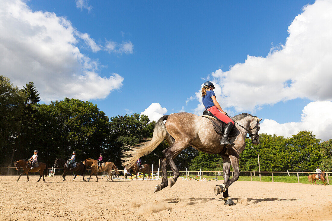 Horse riding stable Duckwitz near Lühburg, horse, equestrian, stud farm, horses, summer, holiday, vacation Mecklenburg lakes, Mecklenburg lake district, Duckwitz, Mecklenburg-West Pomerania, Germany, Europe