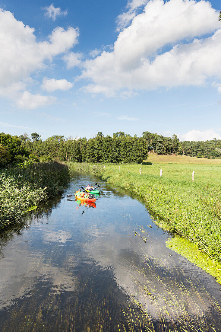 Canoing on river Warnow, paddling, canoe, kayak, Alt Necheln, Mecklenburg-West Pomerania, Germany, Europe