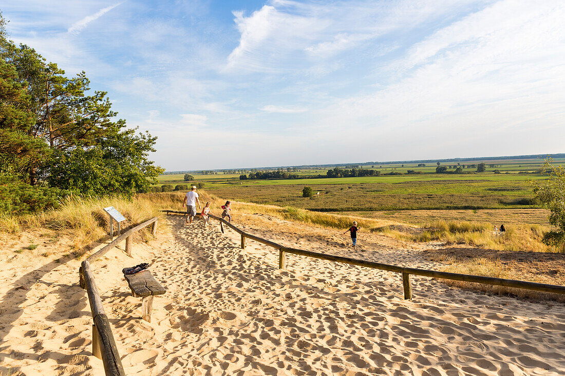 Elbtaldünen bei Klein Schmölen, Westmecklenburg, Sanddünen, Düne, Elbe, Mecklenburgische Seenplatte, Mecklenburgische Seen, Dömitz, Mecklenburg-Vorpommern, Deutschland, Europa