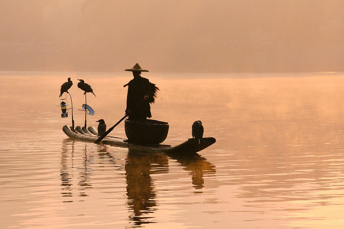 Chinese fisherman fishes with cormorant birds on a bamboo raft in Li Jang River, Yangshuo, Guilin, Guangxi region, China on December, 2006. Like their ancestors, this fisherman uses cormorants to fish at dusk and dawn, using lamps to help the birds catch 