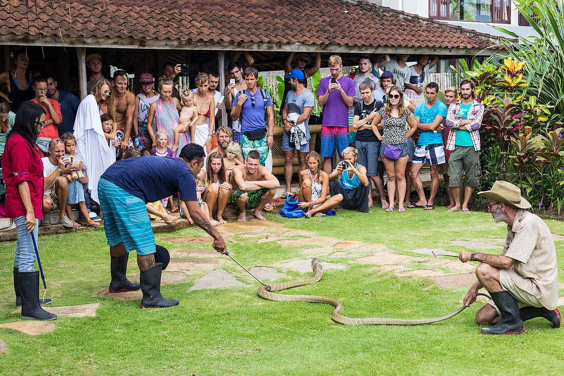 People Enjoying Show Of Snakes In Bali, Indonesia