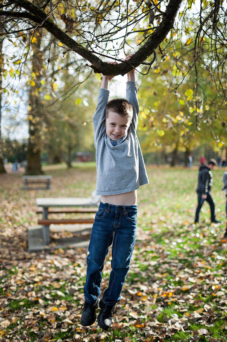 A Young Boy Swinging On A Tree Branch At Park