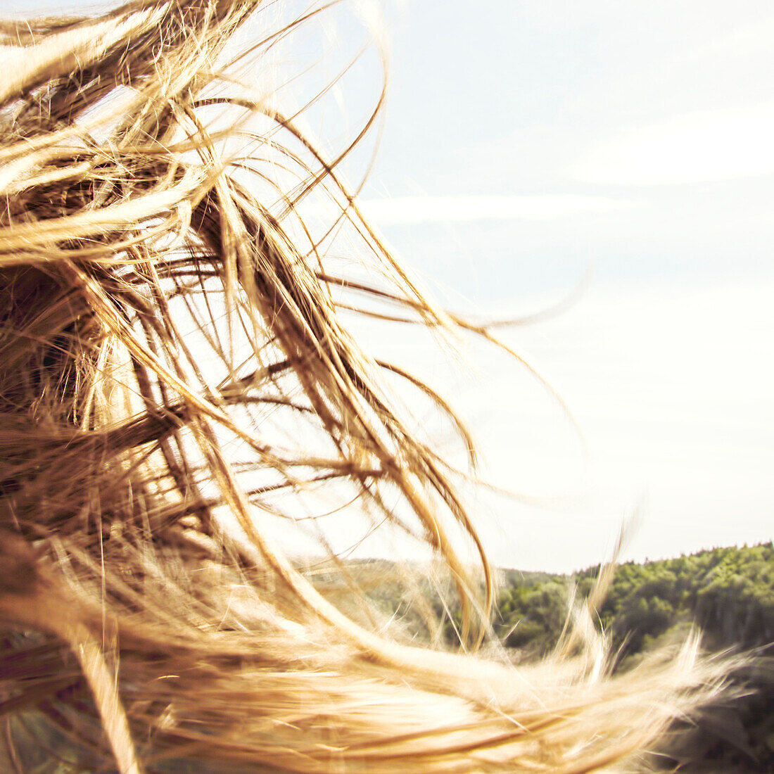 Tangled Hair Of A Young Girl Waving In The Wind