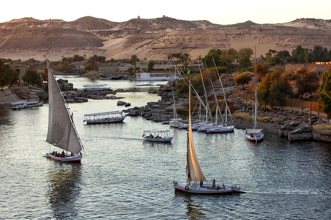 Felucca Sailboats On River Nile, Aswan, Egypt