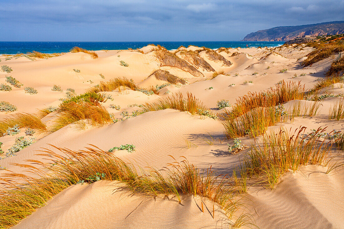 Sand Dune At Praia De Guincho, Cabo Da Roca, Portugal