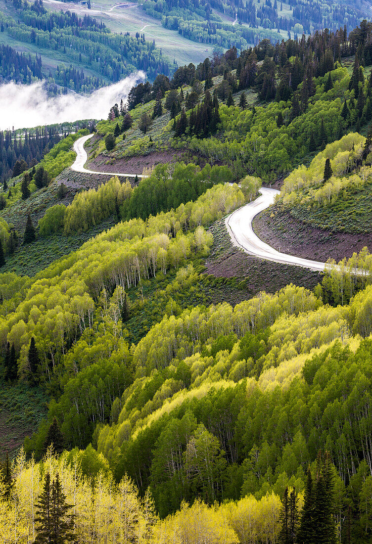 Scenic View Of Guardsman Pass Road During Sunset In Big Cottonwood Canyon