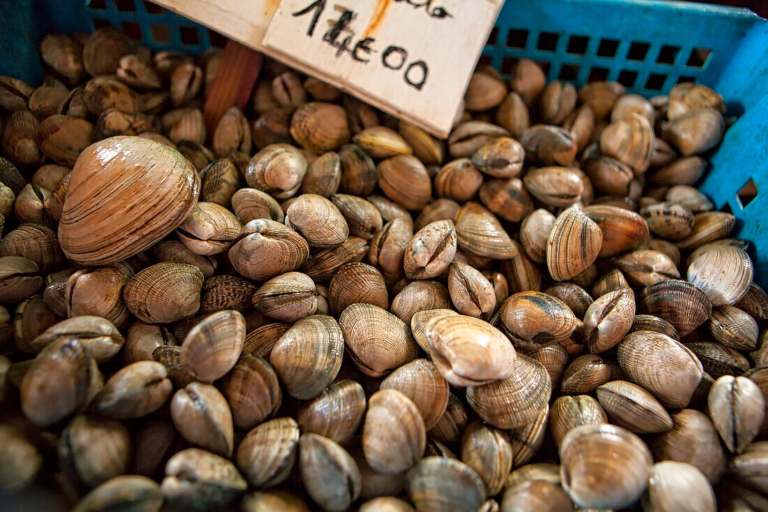 Oyster In Basket At Gulf Of Morbihan In France