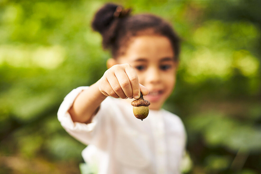Close-up Of A Girl's Hand Holding Acorn