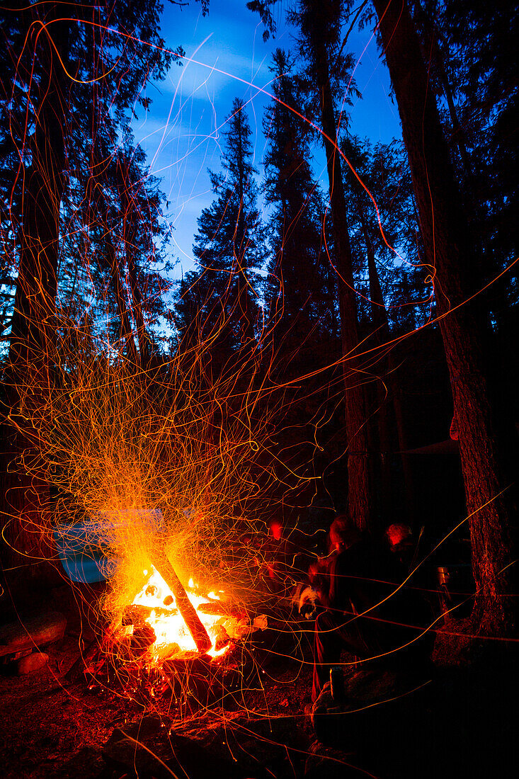 Illuminated Sparks Fly From A Roaring Campfire In Forest