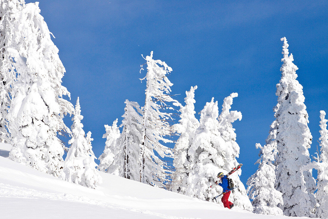 A Skier Hiking At Lodi Ridge At Whitefish Mountain Resort In Whitefish, Montana