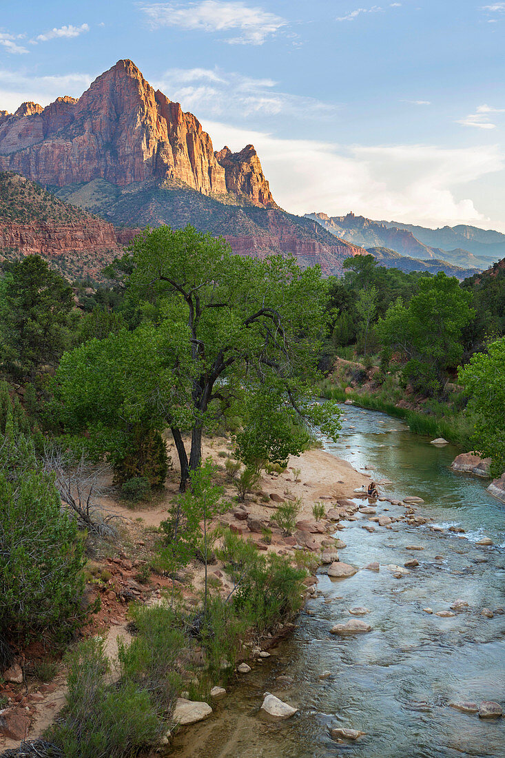 Cliffs Of Zion Canyon National Park At Sunset