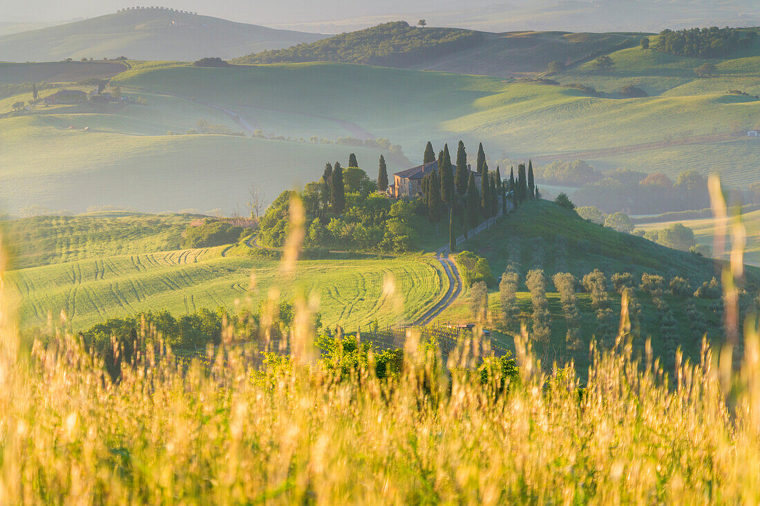 Podere Belvedere at dawn - San Quirico d'Orcia, Siena Province, Tuscany , Val d'Orcia , Italy, Europe