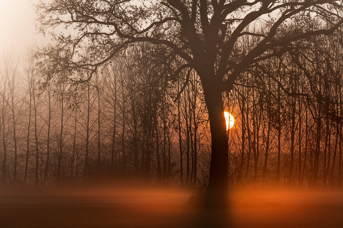 Provinz Turin, Piemont, Italien, Europa, Magischer Sonnenaufgang in der piemontesischen Ebene