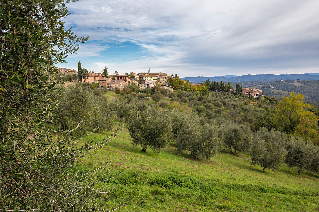 Dorf von Vagliagli aus Olivenhain, Vagliagli, Castelnuovo Berardenga, Chianti, Provinz Siena, Toskana, Italien, Europa