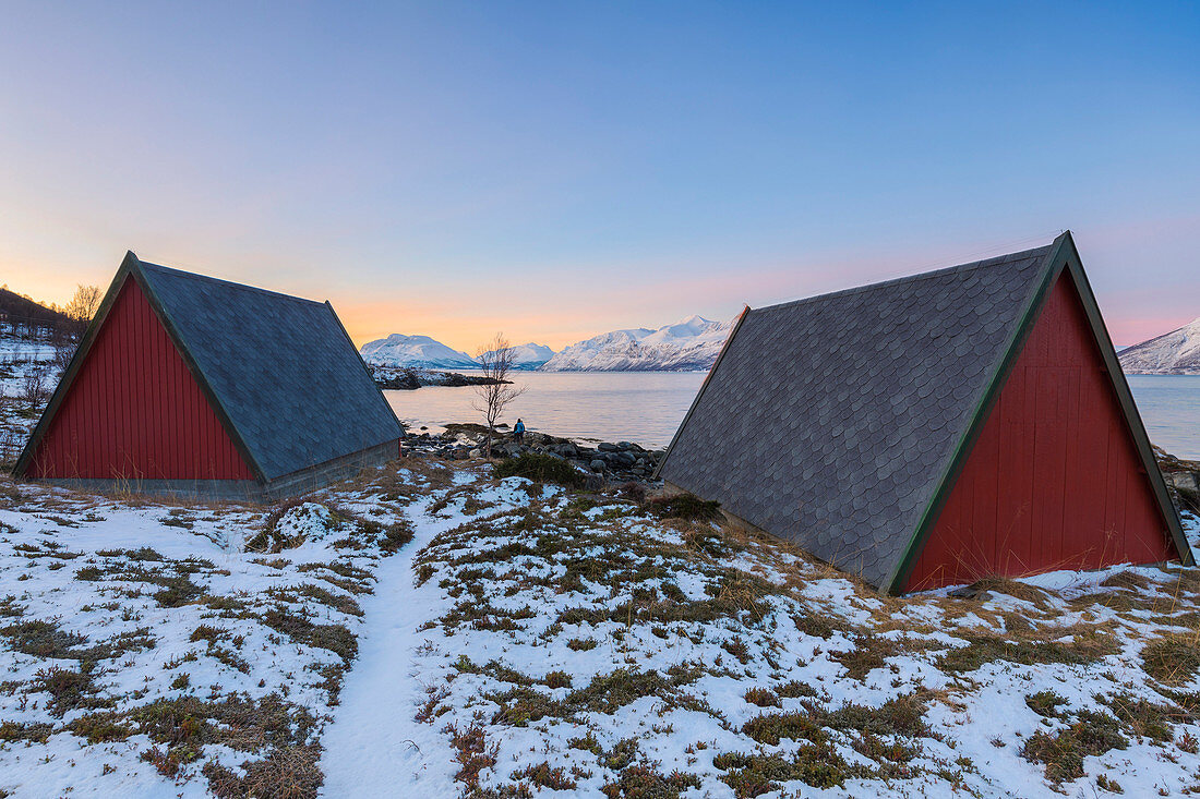 Fischerdorf in Lattervick mit Blick auf den Fjord, Lattervik, Ullsfjorden, Lyngen Alpen, Troms, Norwegen, Lappland, Europa