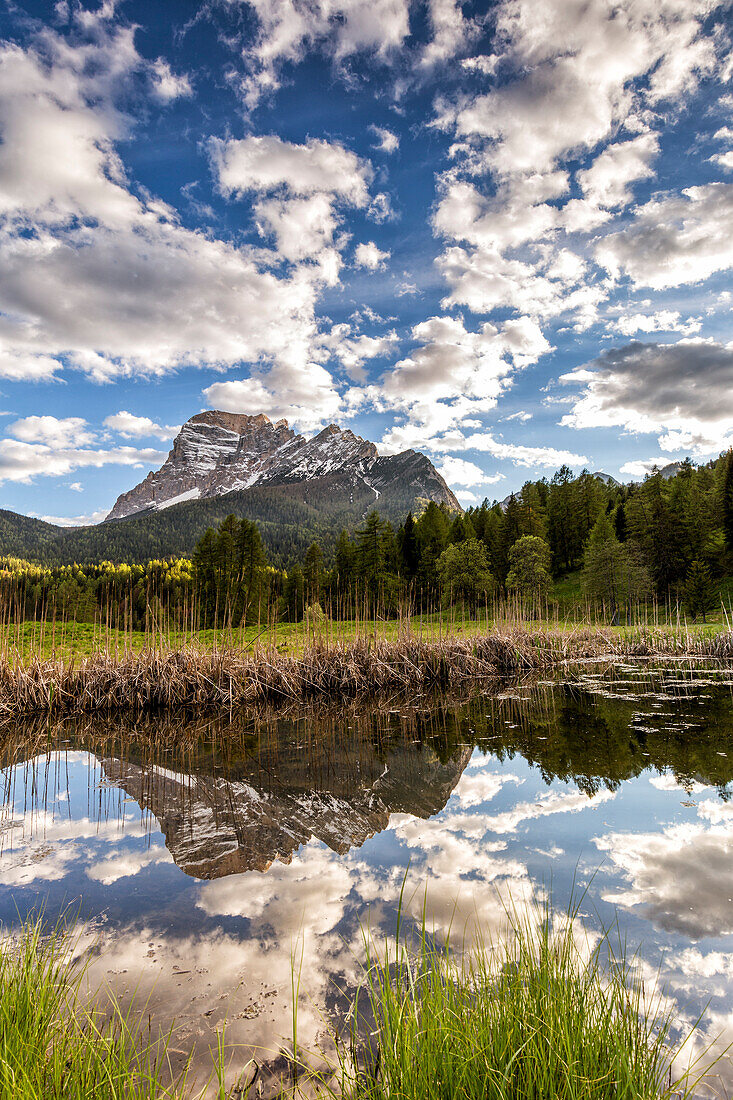 Mount Pelmo spiegelt sich in einem Teich, San Vito di Cadore, Belluno Bezirk, Veneto, Italien, Europa