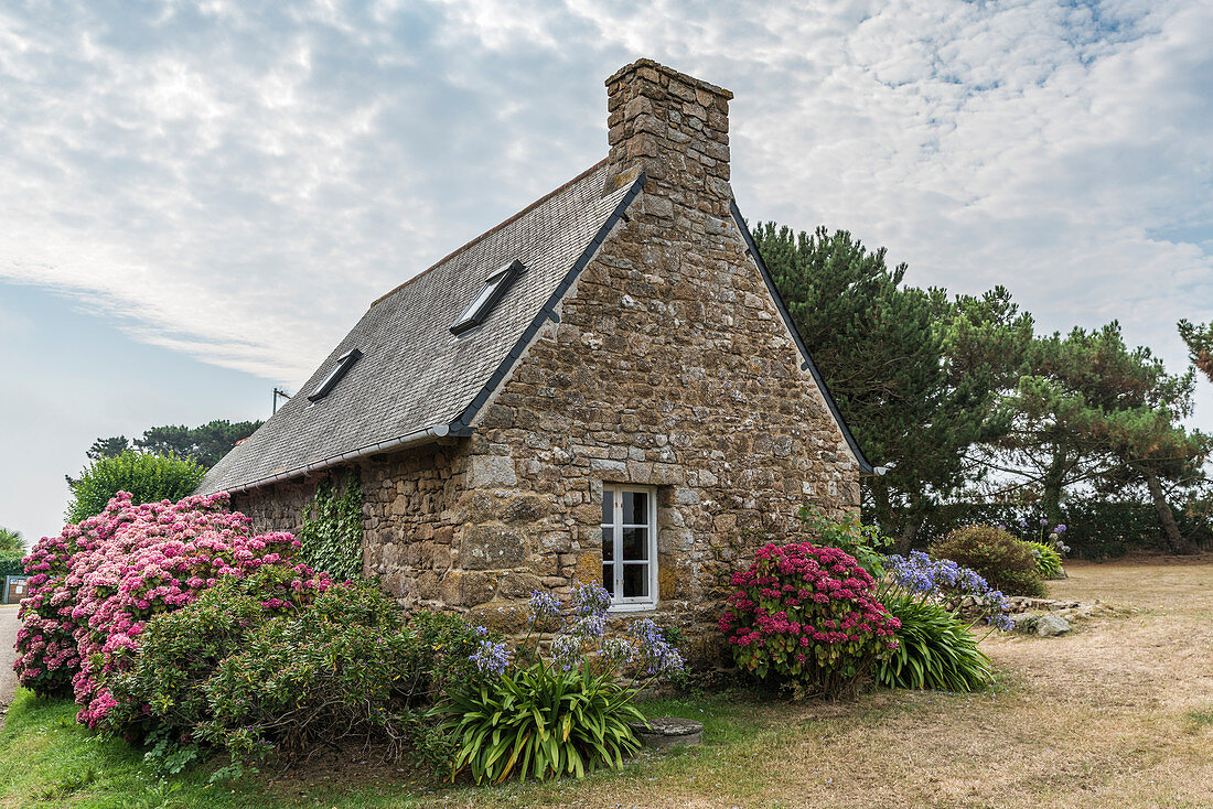 Haus mit Hortensien, Insel Bréhat, Côtes-d'Armor, Bretagne, Frankreich