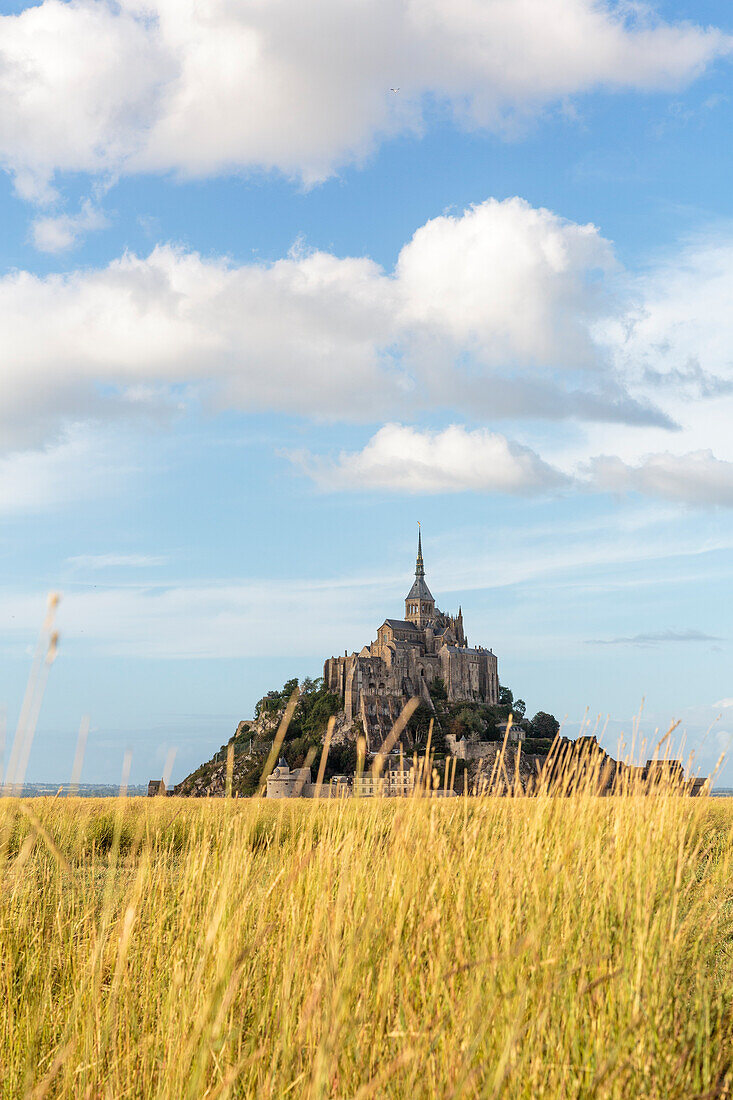 Clouds in the sky and grass in the foreground,  Mont-Saint-Michel, Normandy, France