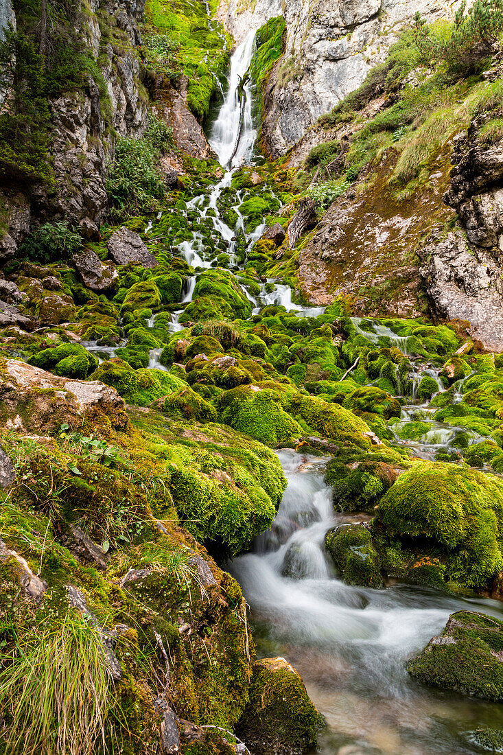 Europe, Italy, Trentino Alto Adige, Province of Trento,  Waterfall of Vallesinella