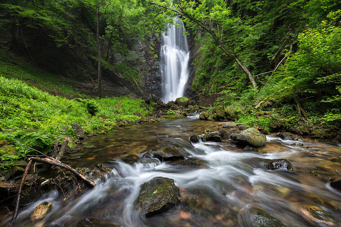 Der Wasserfall namens Pesegh oder Pesech, erstellt von der Torrent Valmolina in Brinzio, Valcuvia, Parco del Campo dei Fiori, Varese Bezirk, Lombardei, Italien