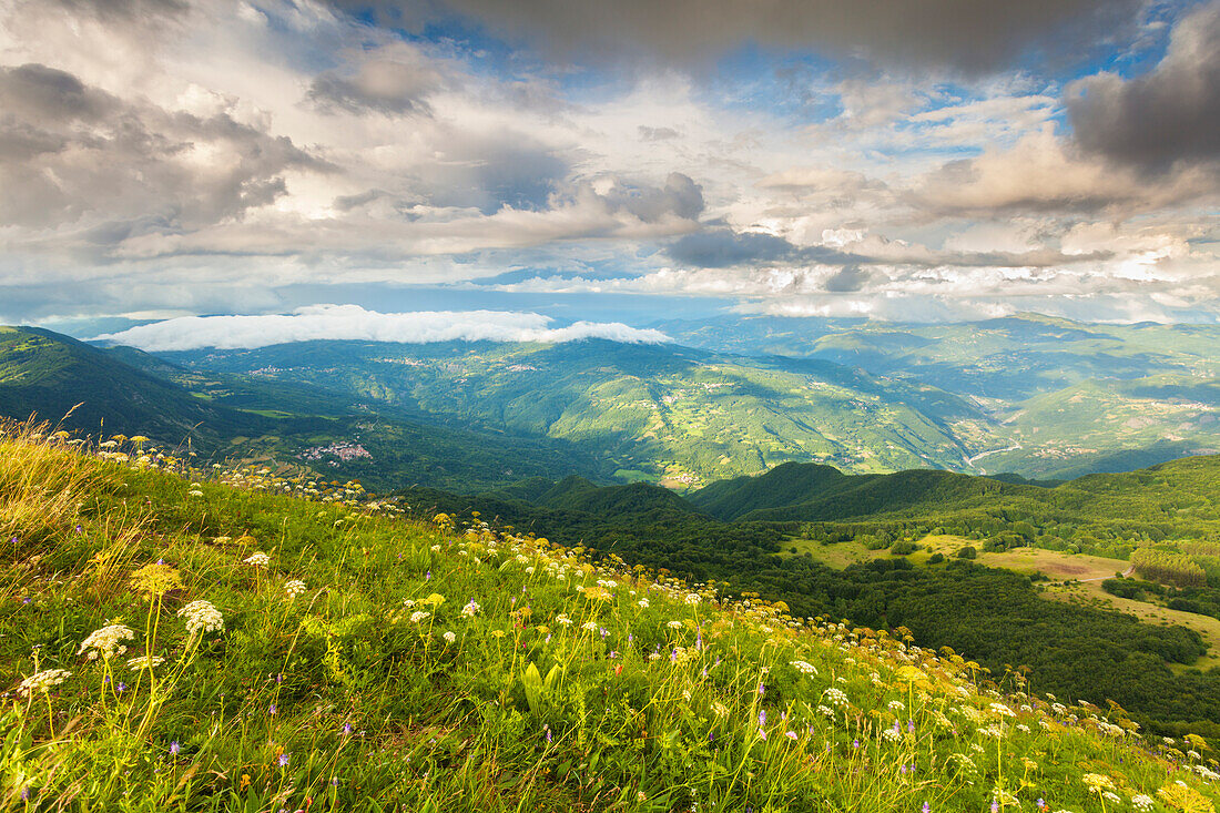 Ligurischer Apennin, Provinz Alessandria, Piemont, Italien, Europa