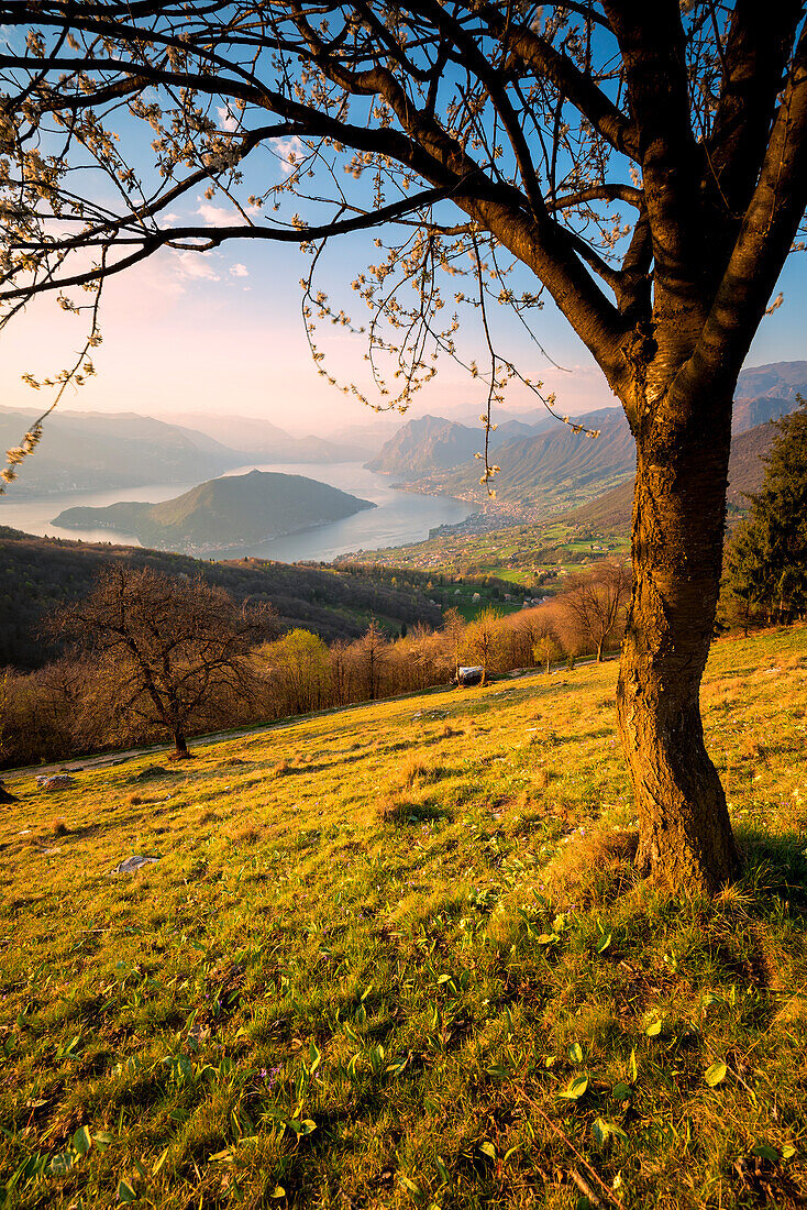 Sonnenuntergang über Iseo See und Montisola, Provinz Brescia, Italien, Lombardei Bezirk, Europa