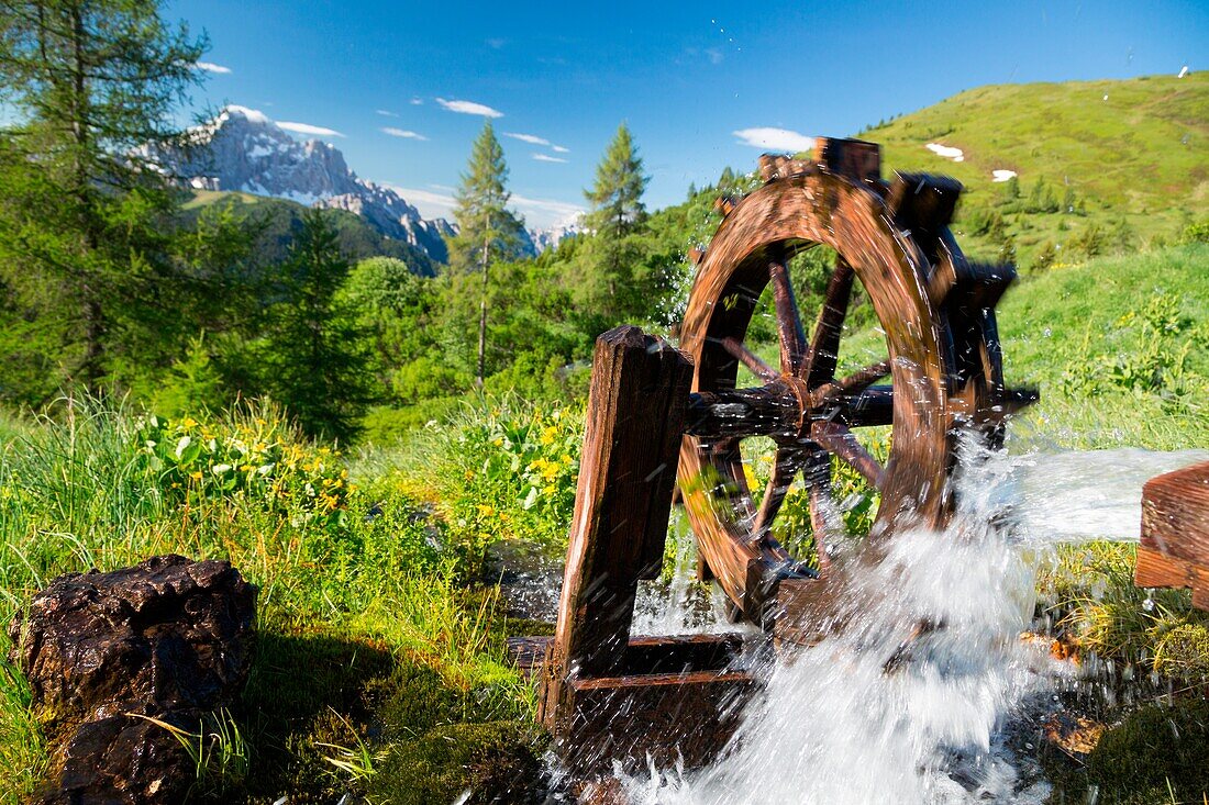 Wasser des alpinen Baches fließt über die alte Holzmühle Fedare Dolomiten Belluno Veneto Italien Europa