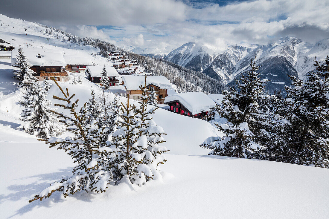 Bäume mit Schneefall bedeckt Die typischen Berghütten Bettmeralp Bezirk von Raron Kanton Wallis Schweiz Europa