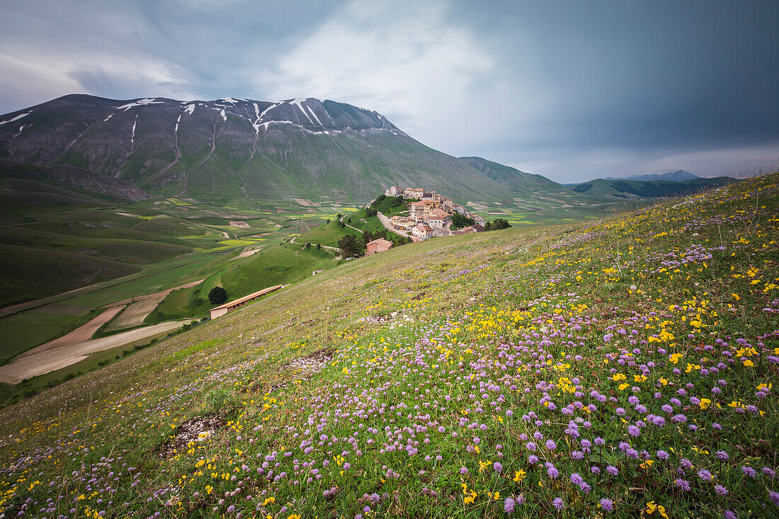 Colorful flowers in bloom frame the medieval village Castelluccio di Norcia Province of Perugia Umbria Italy Europe