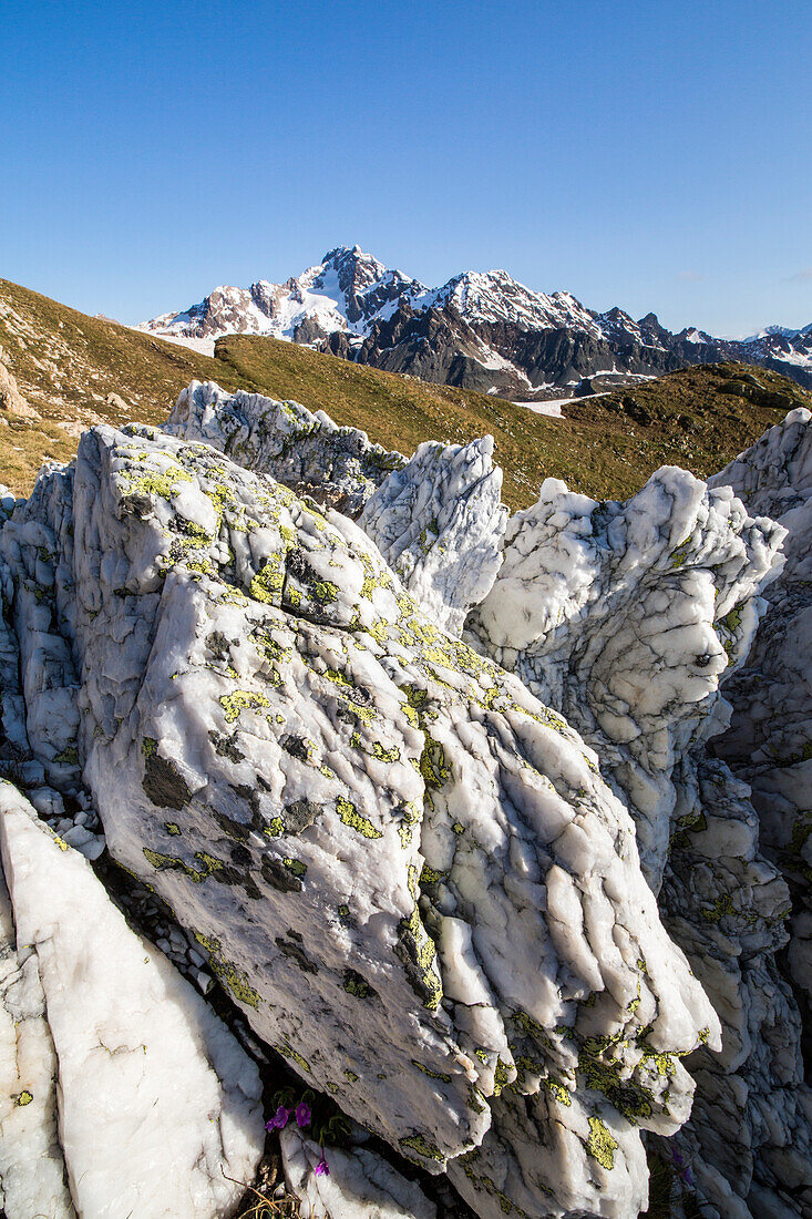 Sasso Bianco Frames der schneebedeckten Gipfel des Mount Disgrazia Malenco Valley Valtellina Provinz Sondrio Lombardei Italien Europa