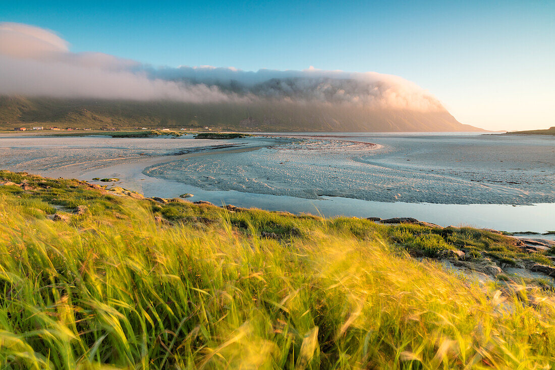 Grünes Gras und Meer umrahmt von der Mitternachtssonne Fredvang Moskenesøya Nordland Grafschaft Lofoten Inseln Norwegen Europa