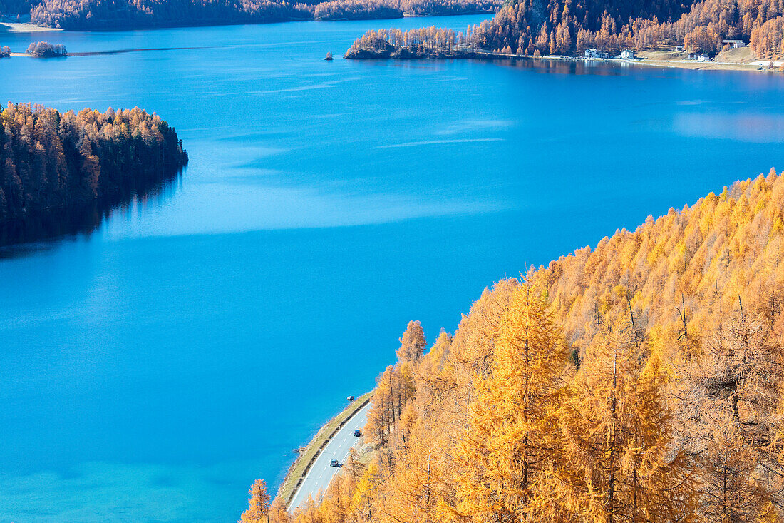 Der blaue See Sils umgeben von den bunten Wäldern des Herbstes Maloja Kanton Graubünden Engadin Schweiz Europa