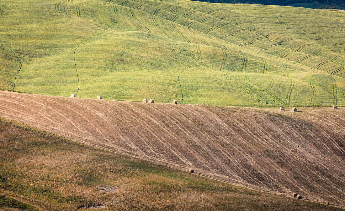 The curved shapes of the multicolored hills of the Crete Senesi , Senese Clays  province of Siena Tuscany Italy Europe