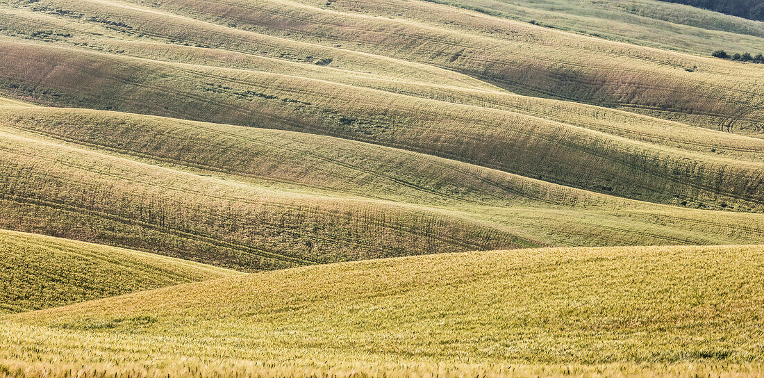 Die gebogenen Formen der mehrfarbigen Hügel der Crete Senesi, Senese Clays Provinz Siena Toskana Italien Europa