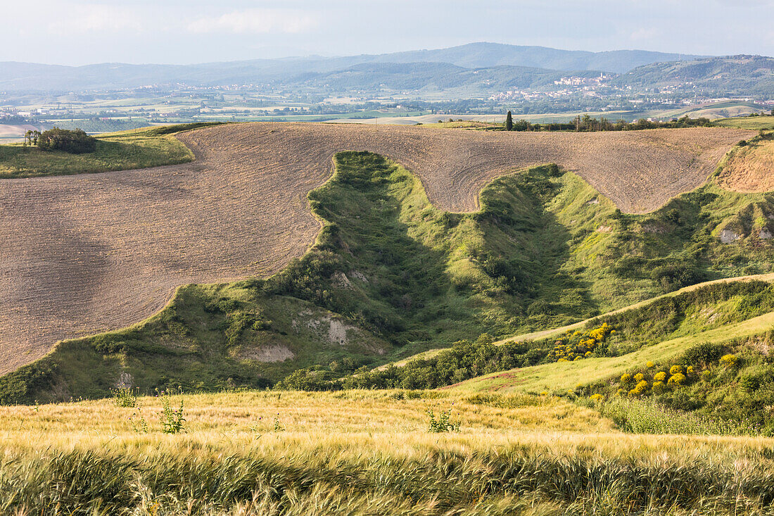 Die gebogenen Formen der mehrfarbigen Hügel der Crete Senesi, Senese Clays Provinz Siena Toskana Italien Europa