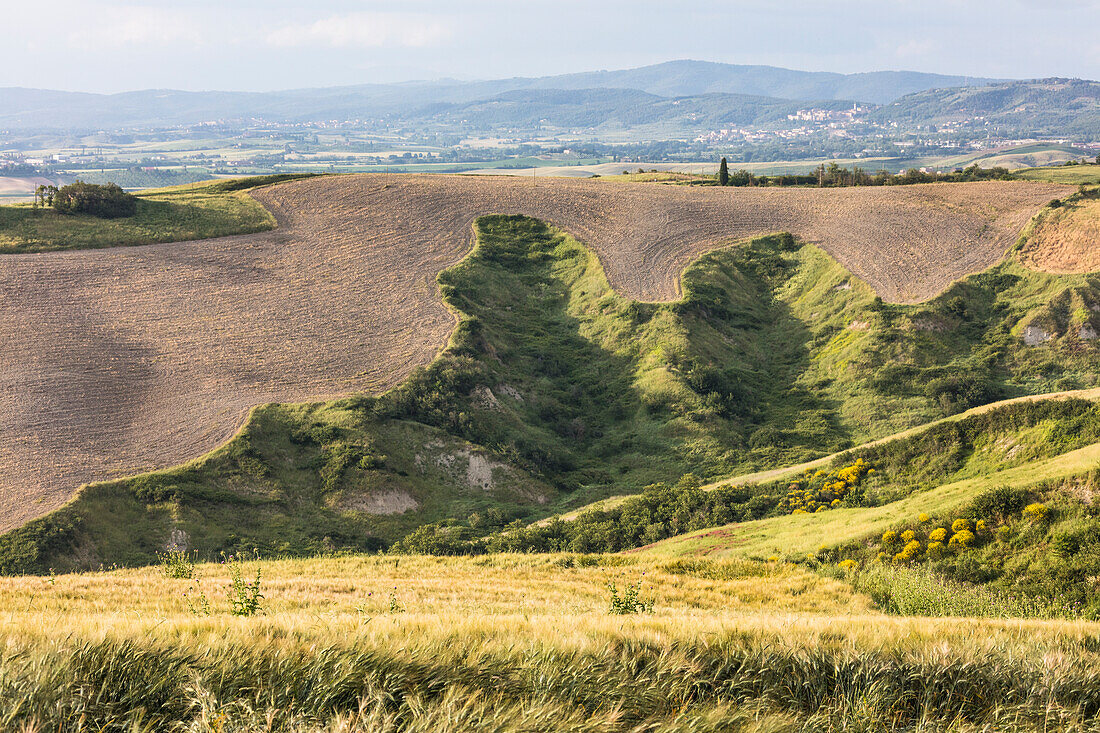 The curved shapes of the multicolored hills of the Crete Senesi , Senese Clays  province of Siena Tuscany Italy Europe