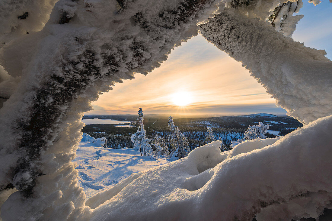 Sun and clouds frame the the frozen tree branches in the snowy woods Ruka Kuusamo Ostrobothnia region Lapland Finland Europe