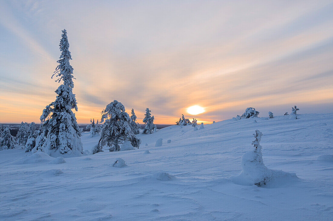 Sun and clouds frame the the snowy woods in the cold arctic winter Ruka Kuusamo Ostrobothnia region Lapland Finland Europe