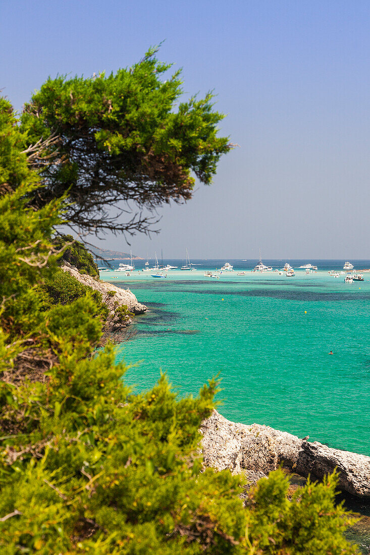 The green vegetation frame the turquoise sea in summer Sperone Bonifacio South Corsica France Europe