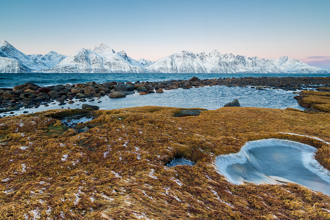 Gras bedeckt mit Eisrahmen das gefrorene Meer umgeben von schneebedeckten Gipfeln im Morgengrauen Djupvik Lyngen Alpen Tromsø Norwegen Europa