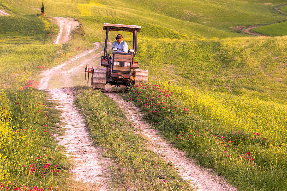 Ein Traktor auf der Straße auf dem toskanischen Hügel - San Quirico d'Orcia, Provinz Siena, Toskana, Val d'Orcia, Italien, Europa