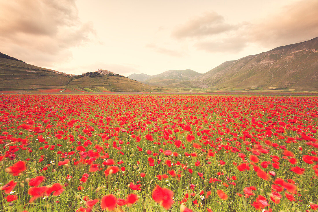 Europa, Italien, Umbrien, Bezirk Perugia, Castelluccio von Norcia