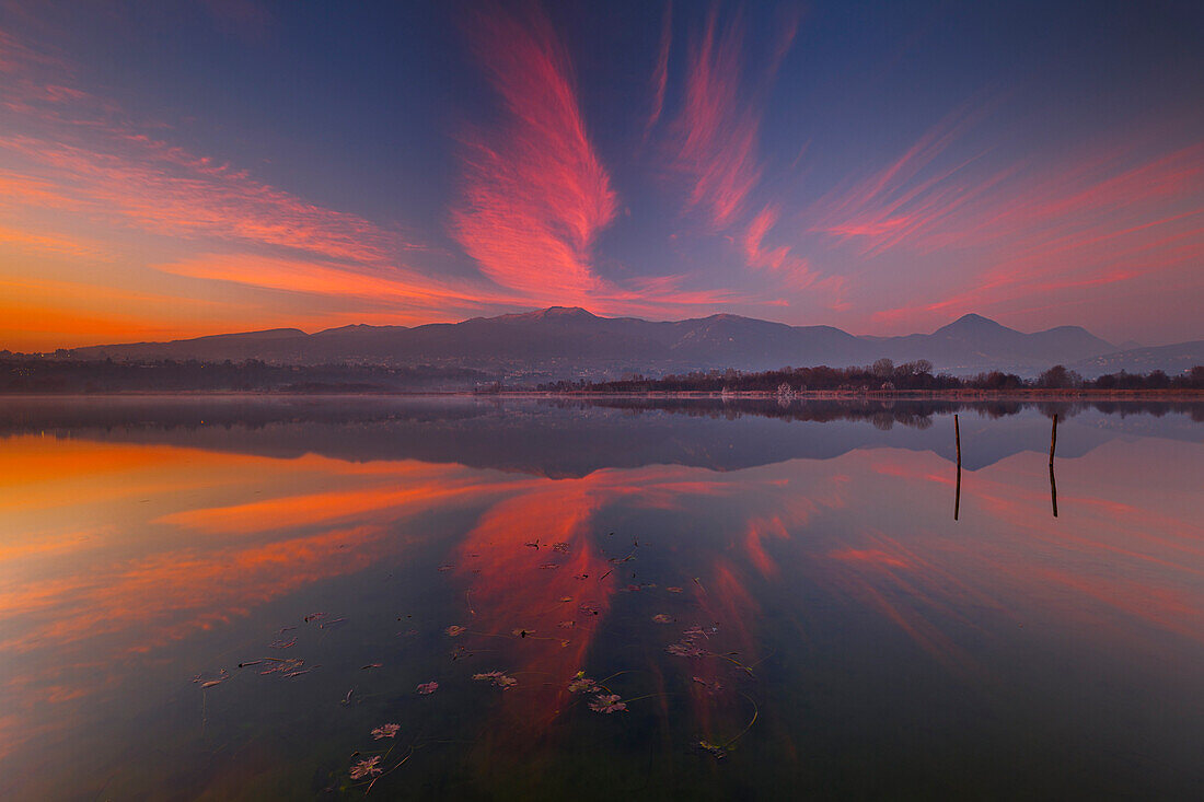 Sunset on Lake Alserio, Como province, Brianza, Lombardy, Italy, Europe