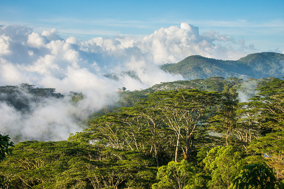 Clouds rolling in the mountains around Suai, East Timor, Southeast Asia, Asia