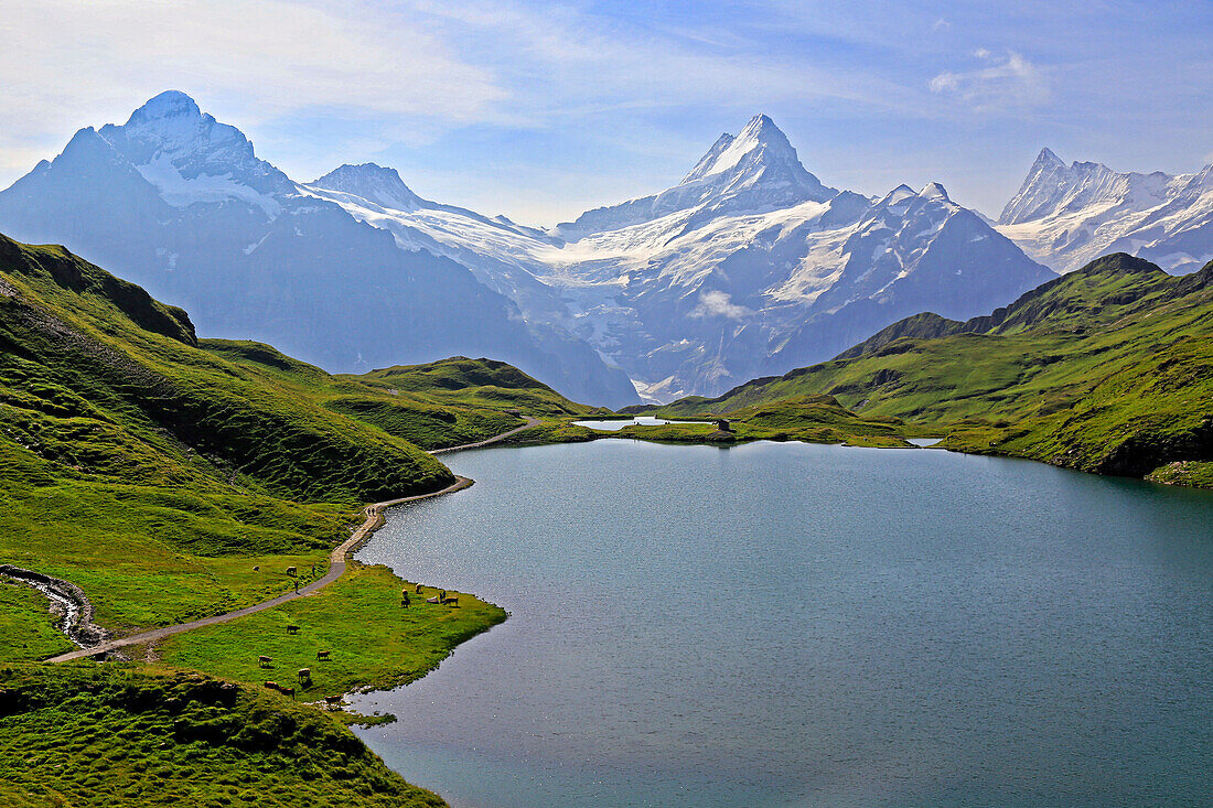 Lake Bachalpsee at First and Bernese Alps, Grindelwald, Bernese Oberland, Switzerland, Europe