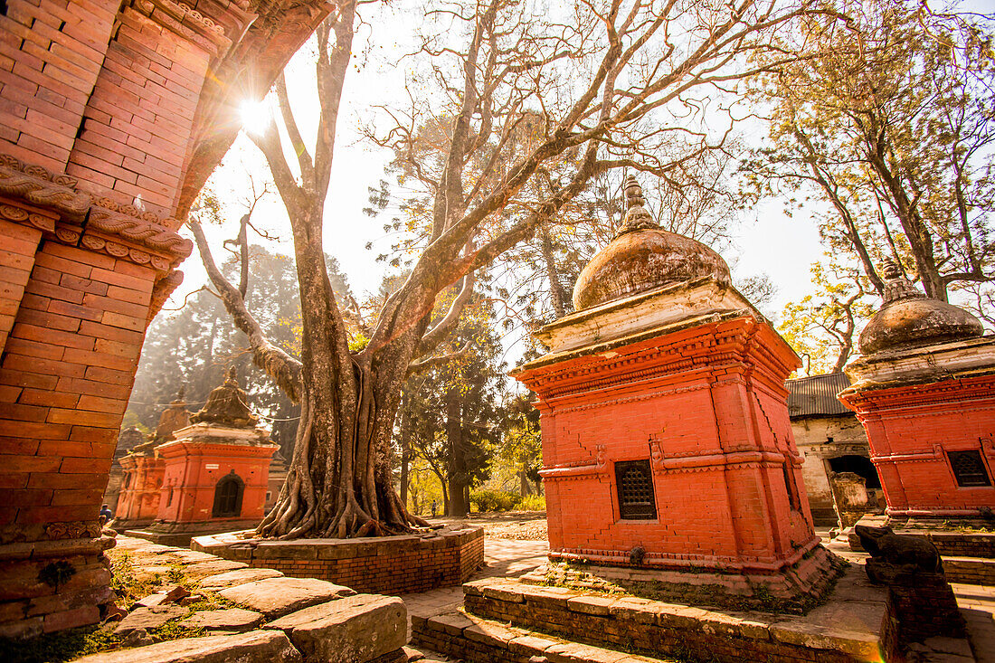 Pashupati Temple tombs, Kathmandu, Nepal, Asia