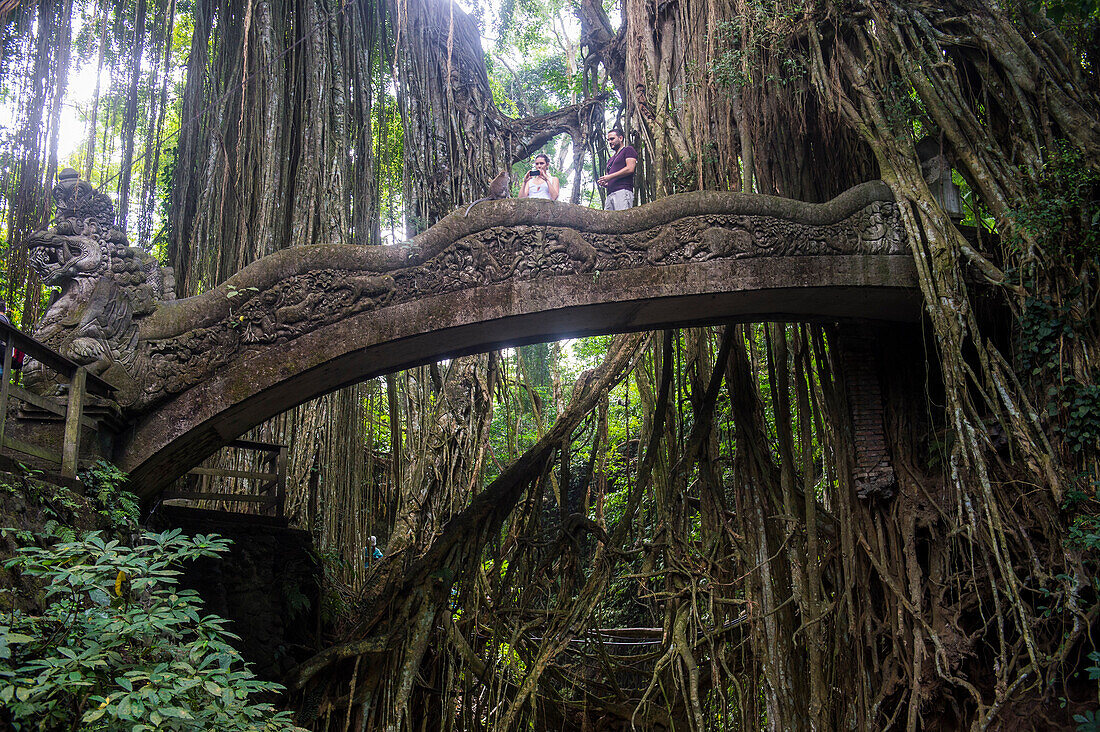 Very beautiful carved bridge with overgrowing trees, Sacred Monkey Forest Sanctuary, Ubud, Bali, Indonesia, Southeast Asia, Asia